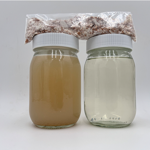 ​​Food & Beverage​ Wastewater Treatment for Dog Food ​Processing​